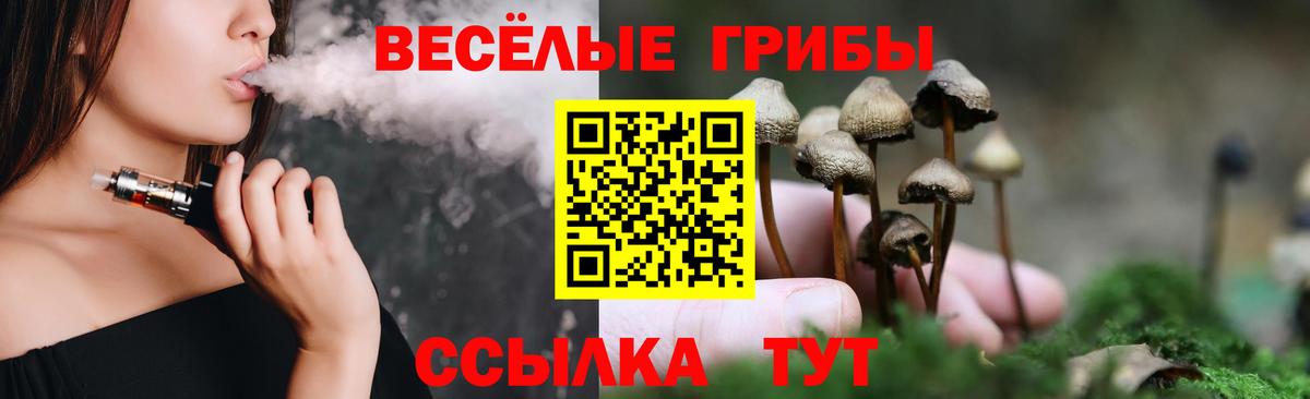 Михайловка  Галлюциногенные грибы Psilocybine cubensis  Вход с VPN 